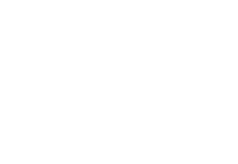 Rice Renovations